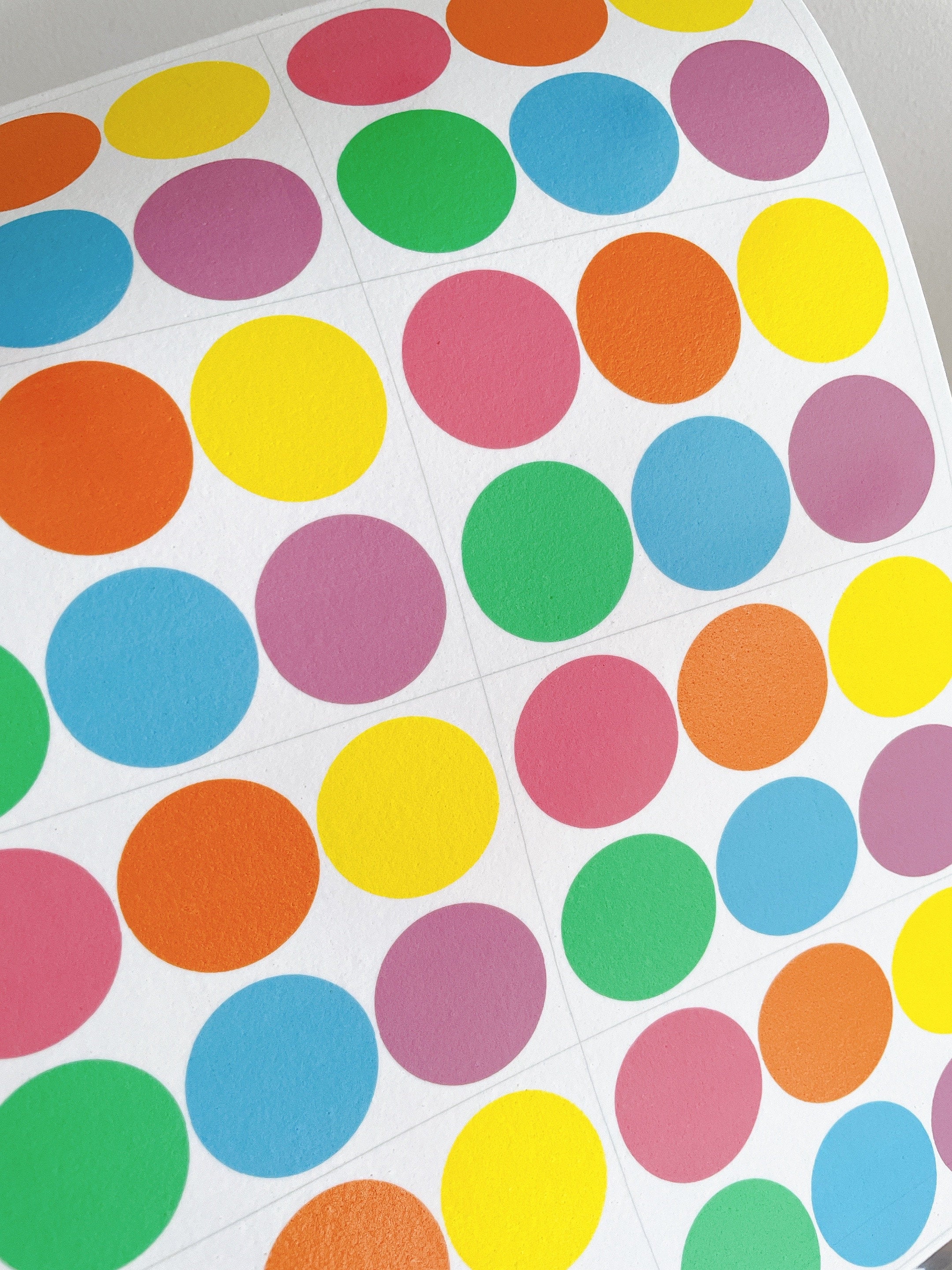 PYO COOKE PALETTE, Pant Your Own Cooke, Edble Easter Pant Palette